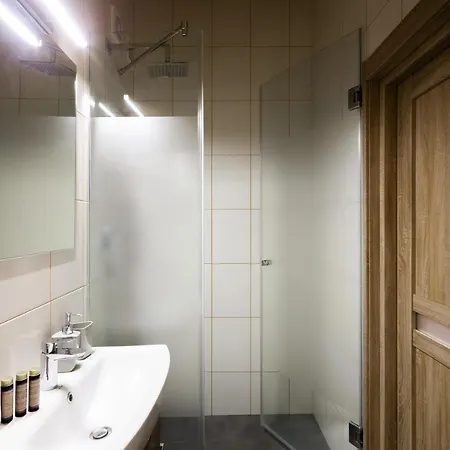 Lion King D3 Apartment Lemberg