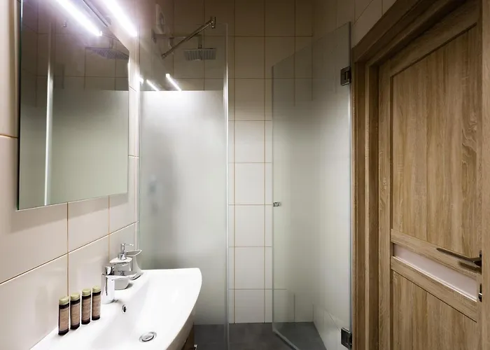 Lion King D3 Apartment Lviv